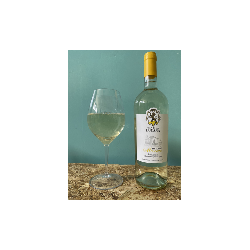 BIANCO MOSCATO DRY -IGT...